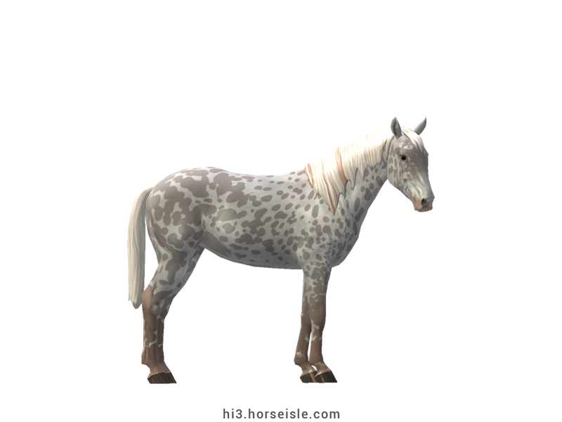Grey Spotted Sport Horse Grey Leopard Coat (normal view)